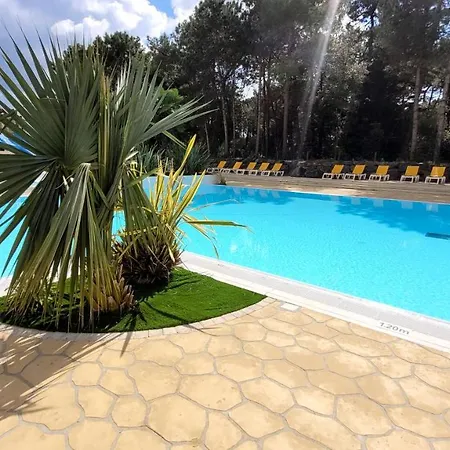 Bungalow De 3 Chambres Avec Piscine Partagee Terrasse Et Wifi A Jean De Monts A 3 Km De La Nyaraló *